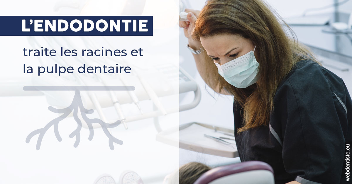 https://dr-levy-charles.chirurgiens-dentistes.fr/L'endodontie 1