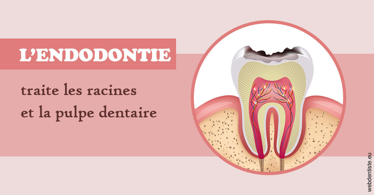 https://dr-levy-charles.chirurgiens-dentistes.fr/L'endodontie 2
